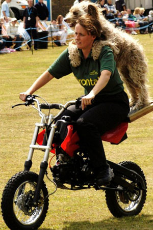 Members of the Essex Dog Display Team